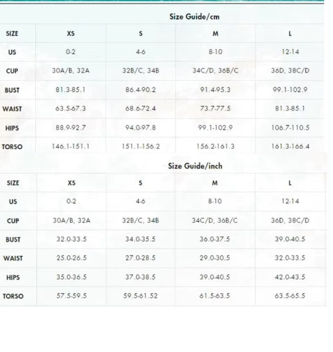 New V Neck Ruffle Swimwear Push Up Bathing Swimsuit CODE: KAR3988