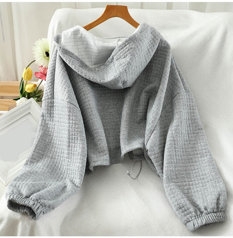 New Zipper, Hoodie, Camis, Harem Pant Trendy Suit 3 Piece Set CODE: READY1376