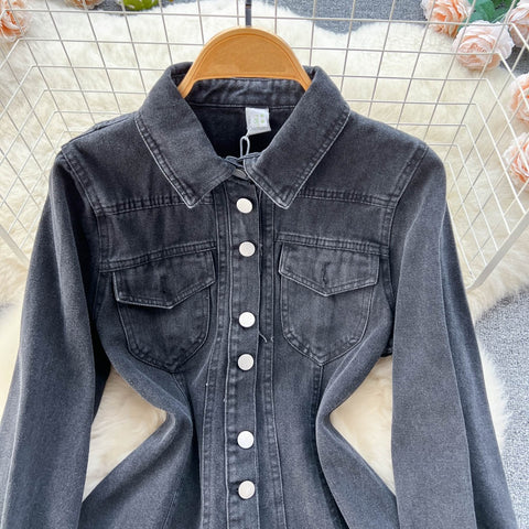 New Long Sleeves Turn Down Collar Pleated Elegant Dress CODE: KAR1949
