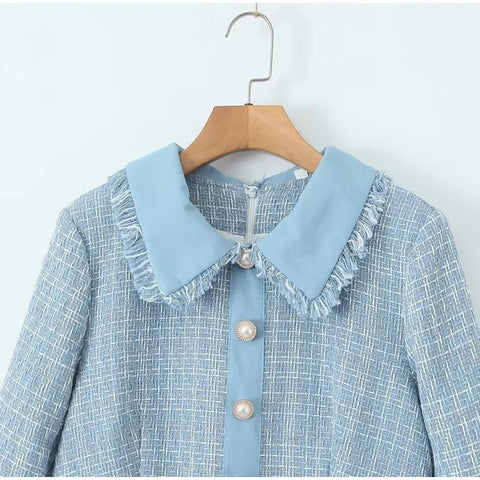 New Autumn Peter Pan Collar Fringes Gingham Pearl Button Long Sleeve Flash Dress CODE: KAR2648