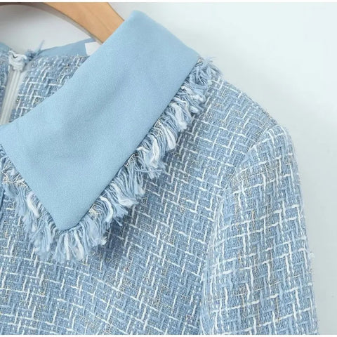 New Autumn Peter Pan Collar Fringes Gingham Pearl Button Long Sleeve Flash Dress CODE: KAR2648