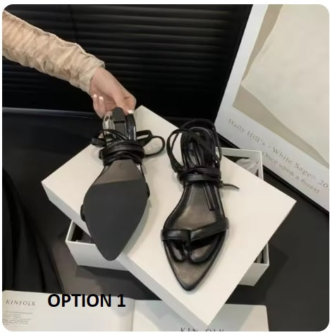 New Fashion Stiletto Heel Luxury Pointed Flip Flops Flat CODE: KAR3378