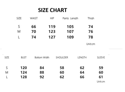 New Fashion Single Breasted Pant Suit 2 Piece Set CODE: KAR4503