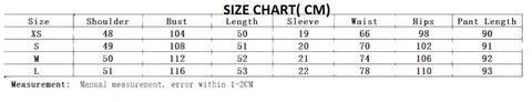 New French-style short-sleeved shirt and wide-leg pants embroidery Set CODE: KAR5286
