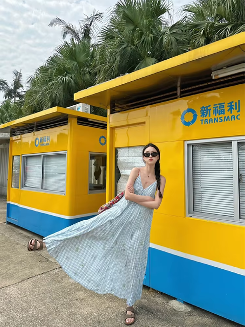 New Print V Neck Elegant Backless Pleated Slip Vacation Loose  Long Dress CODE: KAR3773