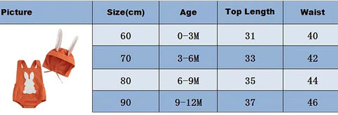 Toddler Baby Rabbit Fuzzy Embroidery Sleeveless Jumpsuit with Hat CODE: RSH012