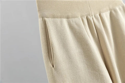 Autumn Fashion Designer Cardigan Tracksuits Letters Knitted Pocket Harem Pant 3 Piece Set CODE: KAR2564