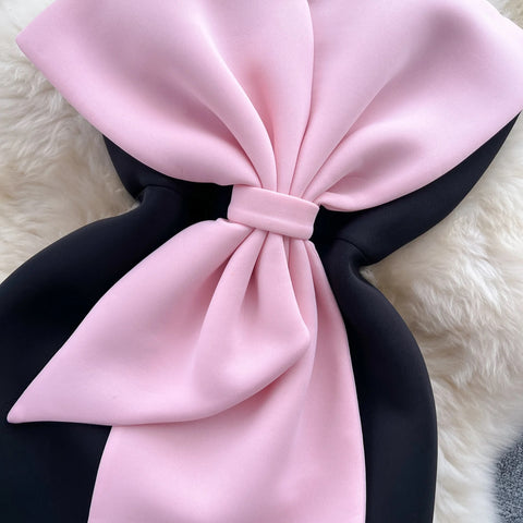 Autumn Fashion Sleeveless Three-dimensional Bow A Line Slim Dress CODE: KAR2575