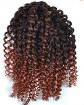 Kinky Curly twisted Wig CODE: mon1450