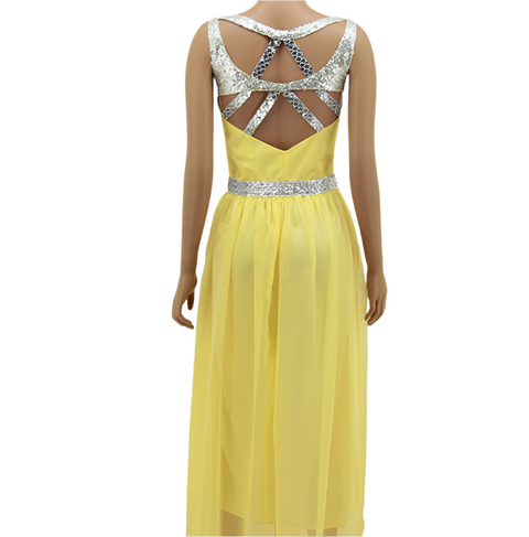 Pretty Shiney Long dress CODE: READY481