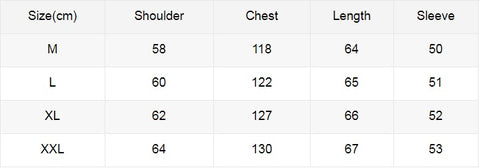 Letter Print Fall Winter High Quality Loose Casual Hoodies CODE: KAR1155