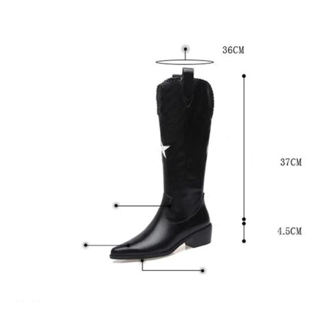 New Pointed Toe Mid Heel Knee High Boots With Side Zipper CODE: KAR1341