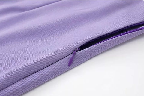 New Fashion Purple Pleated Split Side Zipper High Waist Short CODE: KAR1577