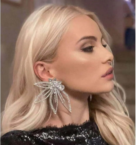 New Fashion Shiny Rhinestone Hoop Earrings CODE: KAR1381