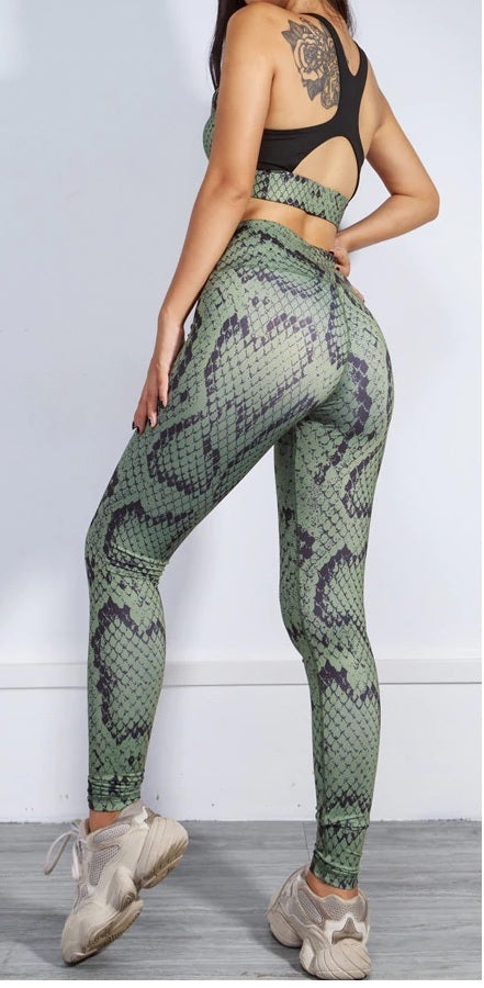Snake Fitness Pattern Two Pieces Set Woman Tracksui CODE: KAR805