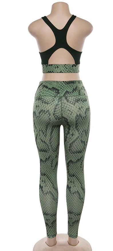 Snake Fitness Pattern Two Pieces Set Woman Tracksui CODE: KAR805