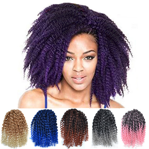 Kinky Curly twisted Wig CODE: mon1450